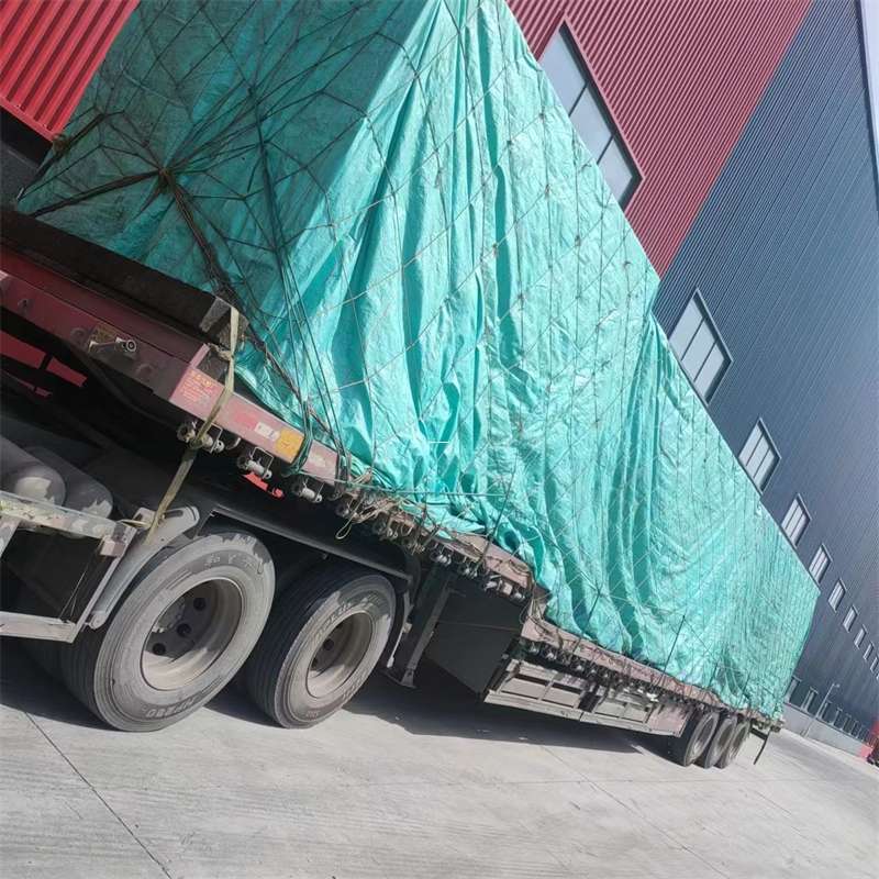 承德市台江县进仓物流：专线直达的多元货运探索